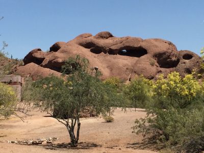 PAPAGO PARK Condos For Sale Browse Active PAPAGO PARK Condos For Sale